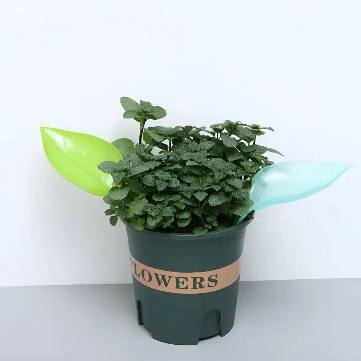 LeafPour – Sauberes Bewässerungstool für präzise Pflanzenpflege