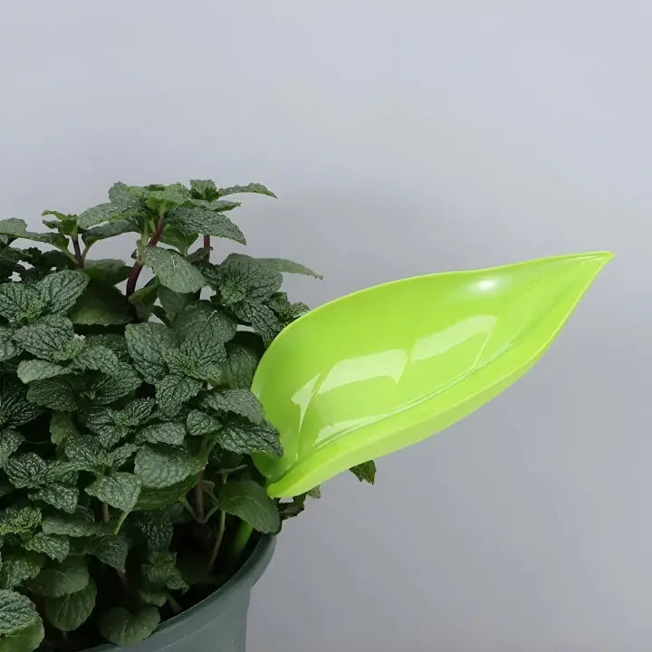 LeafPour – Sauberes Bewässerungstool für präzise Pflanzenpflege