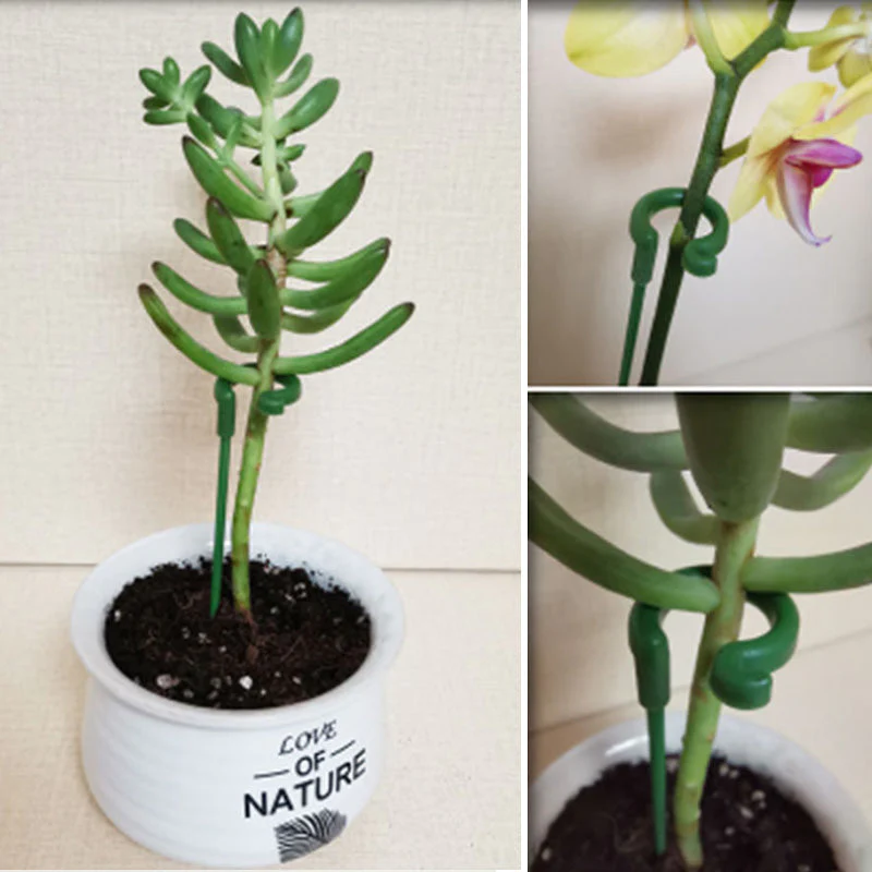 PlantGuard – Robuster Stützring für starke, aufrechte Pflanzen