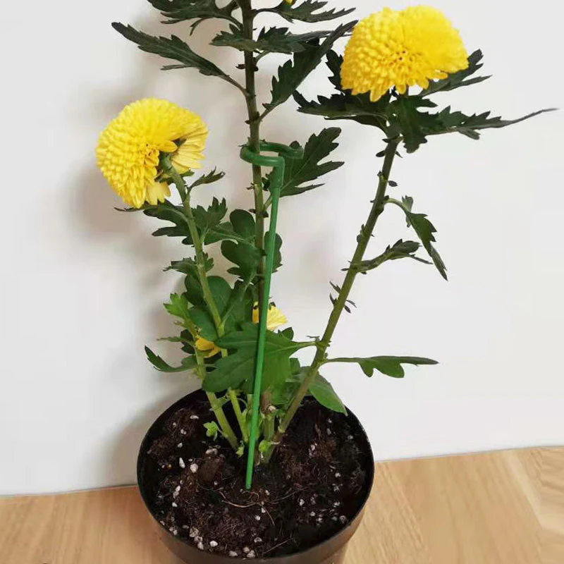 PlantGuard – Robuster Stützring für starke, aufrechte Pflanzen