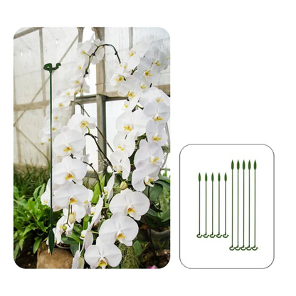 PlantGuard – Robuster Stützring für starke, aufrechte Pflanzen