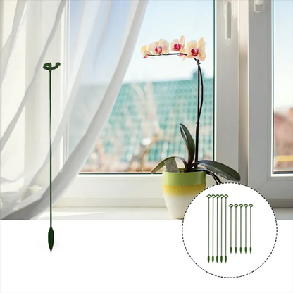 PlantGuard – Robuster Stützring für starke, aufrechte Pflanzen