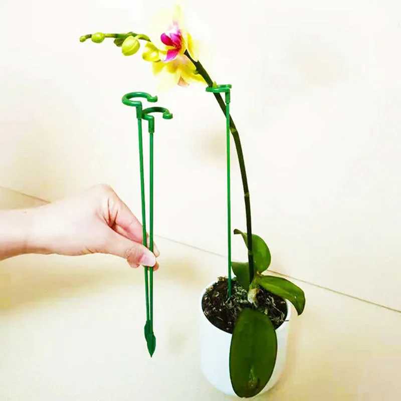 PlantGuard – Robuster Stützring für starke, aufrechte Pflanzen