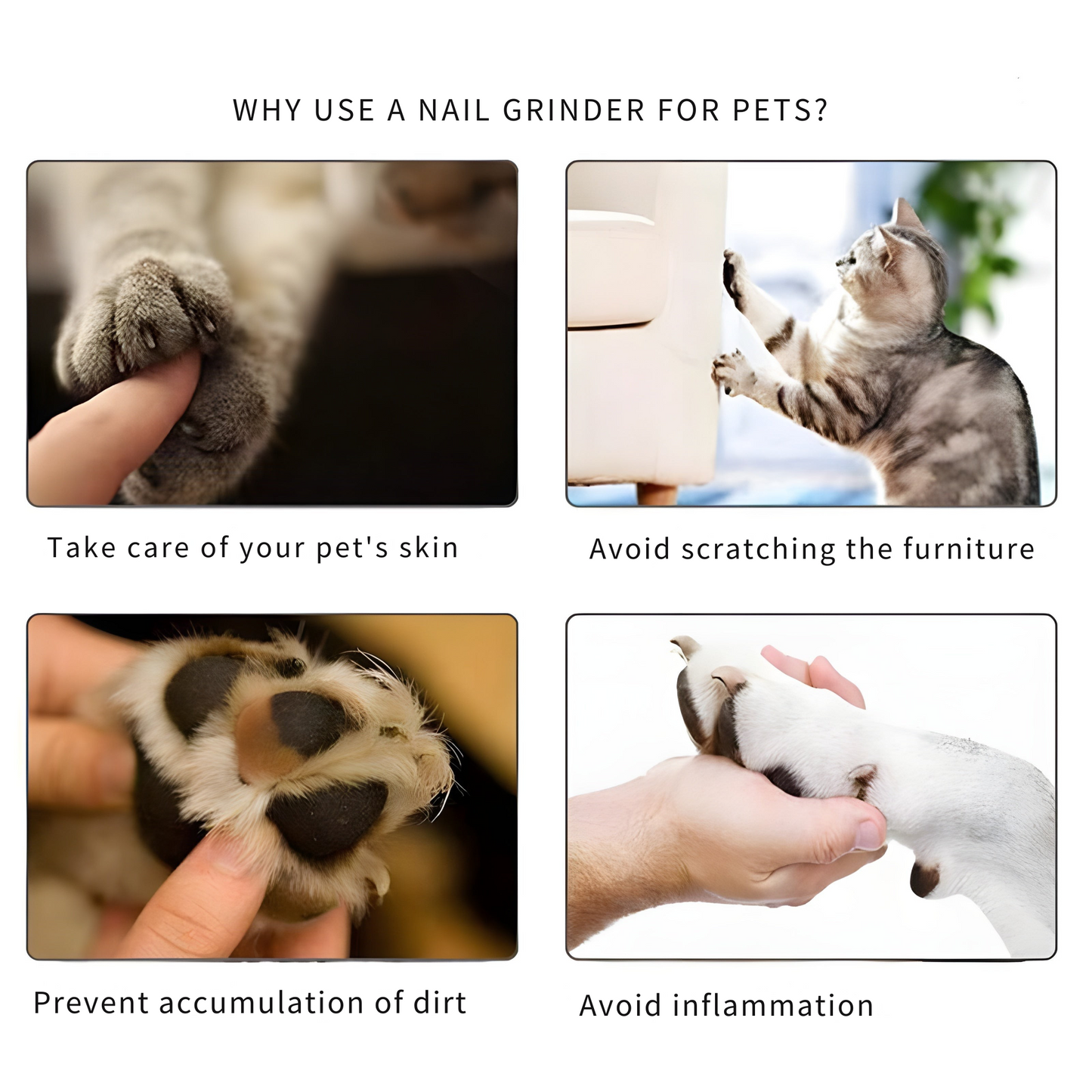 PawTrim – Verstellbares Haustierpflegegerät für Hunde und Katzen