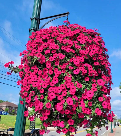 GlowBlossom – Künstliche Morgenröte-Blume für ganzjährige Lebendigkeit