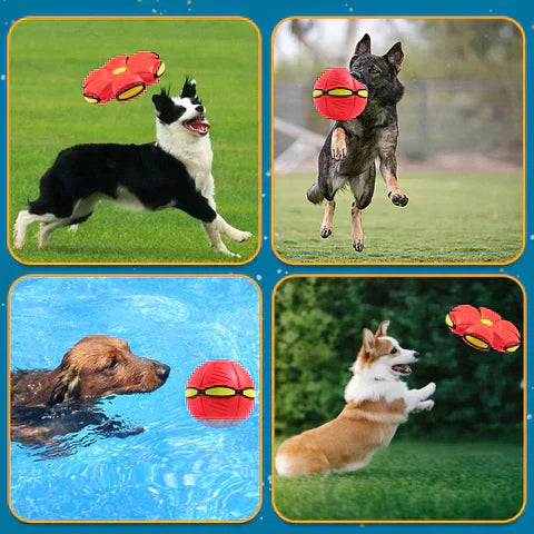 ChewMaster – Unzerstörbares Hundespielzeug für endlosen Spaß