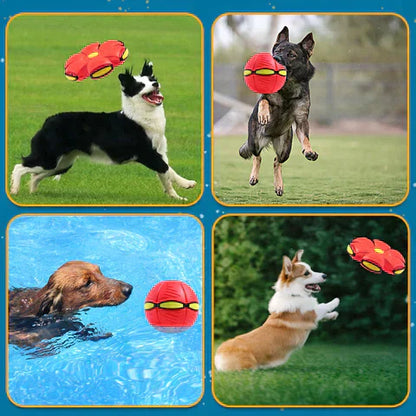 ChewMaster – Unzerstörbares Hundespielzeug für endlosen Spaß