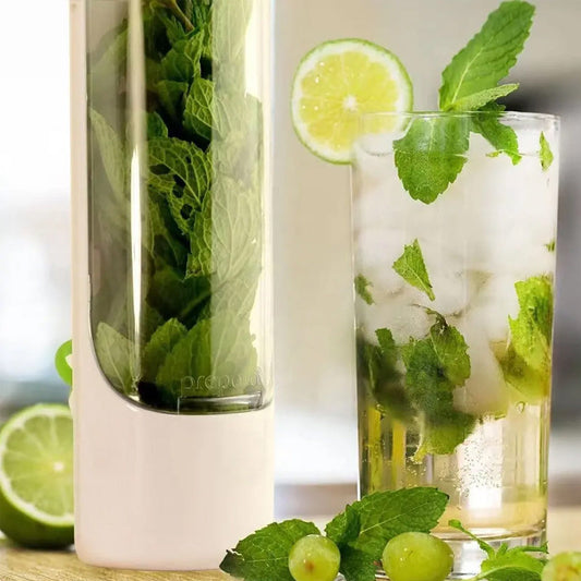LeafFresh – Koriander- und Gemüseaufbewahrung für anhaltende Frische