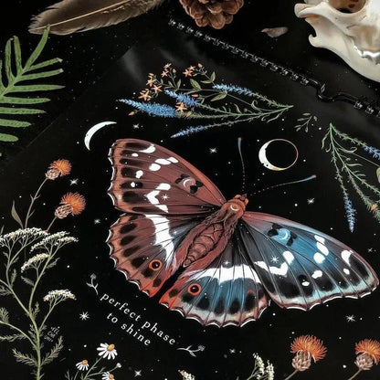 DarkForest – Mondkalender 2023 mit Originalillustrationen und Mondphasen