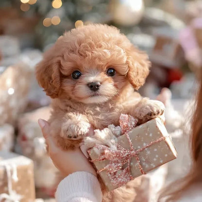CozyCharm – Festliche Wärme mit lebensechten Weihnachtsplüschtieren bringen