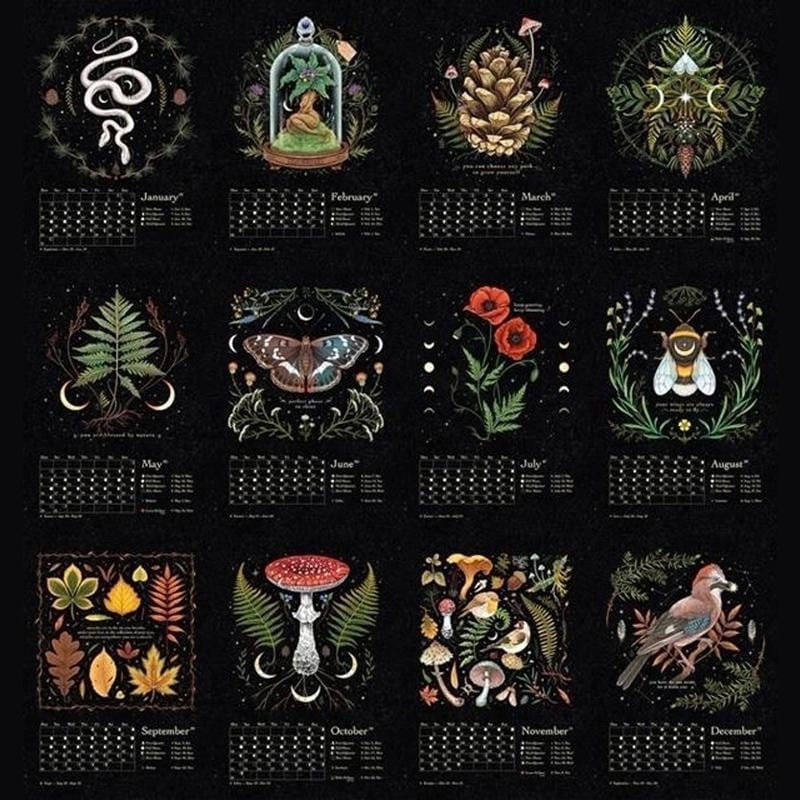 DarkForest – Mondkalender 2023 mit Originalillustrationen und Mondphasen