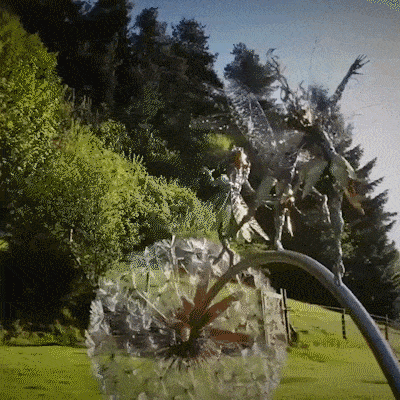 AvelloHome – Feen- und Löwenzahn-Papier-Gartendekor für draußen