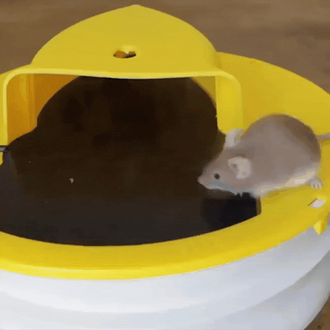 EcoCatch – Automatische Mausefalle mit Eimer und tierfreundlicher Rückstellung