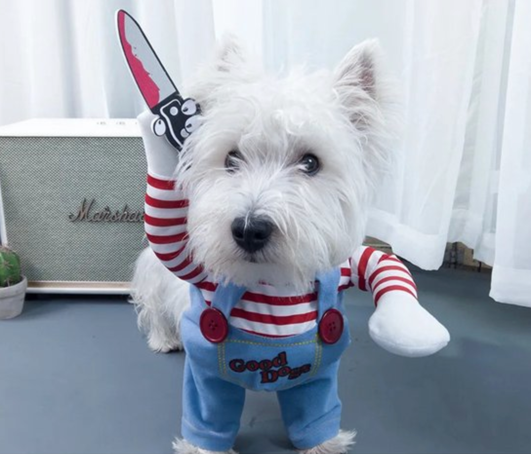 PupPro – Chucky-Hundekostüm für Halloween-Spaß