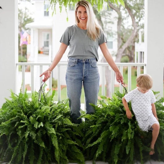 EverLeaf – Üppiges Grün das ganze Jahr über ohne Pflegeaufwand