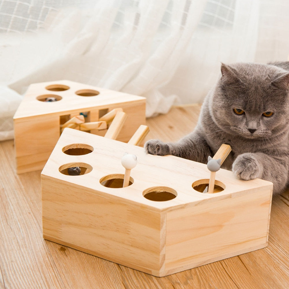 PlayBounce – Interaktives Whack-a-Mole-Spielzeug für Katzen
