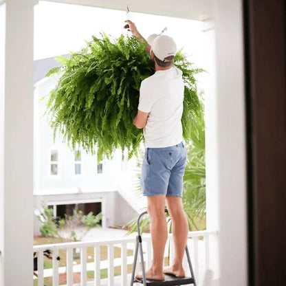 EverLeaf – Üppiges Grün das ganze Jahr über ohne Pflegeaufwand