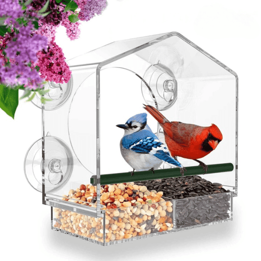 SkyFeed – Premium-Fenster-Vogelfutterstation für müheloses Vogelbeobachten