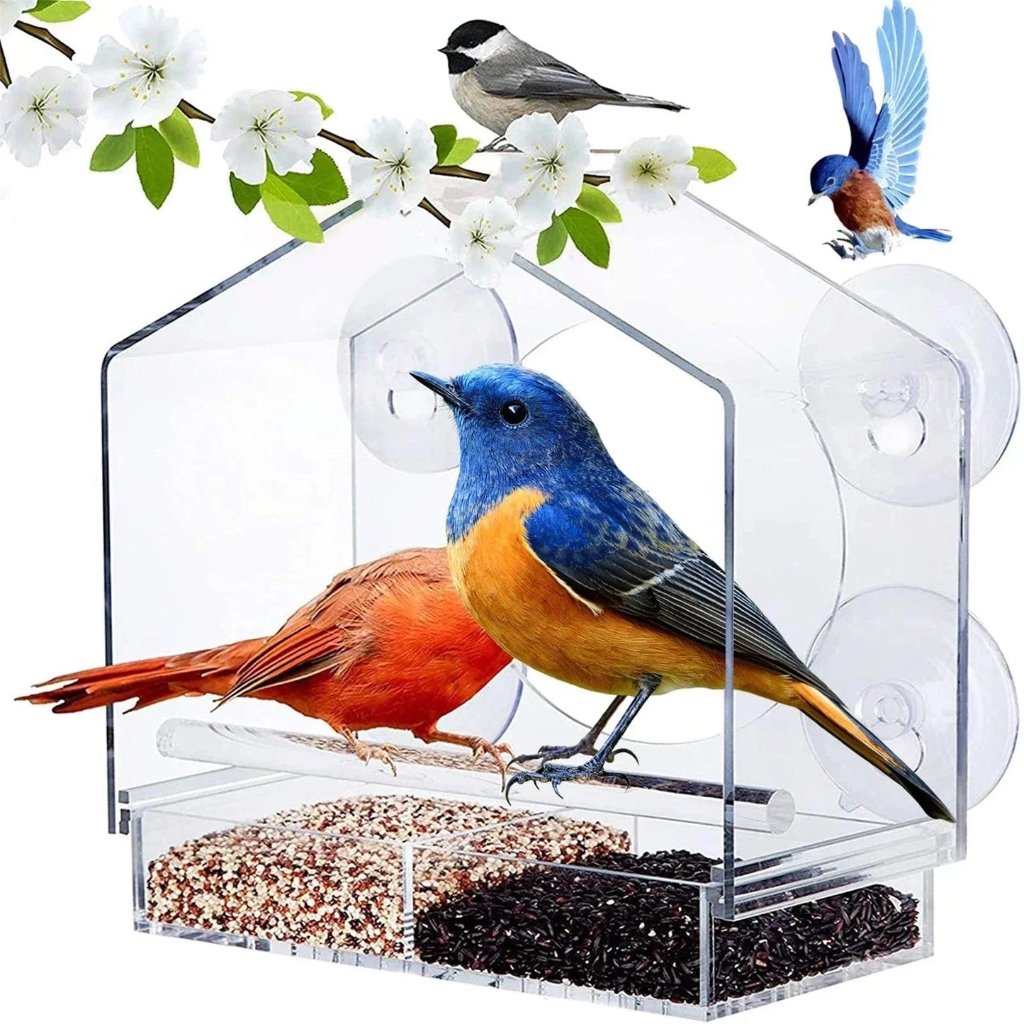 SkyFeed – Premium-Fenster-Vogelfutterstation für müheloses Vogelbeobachten