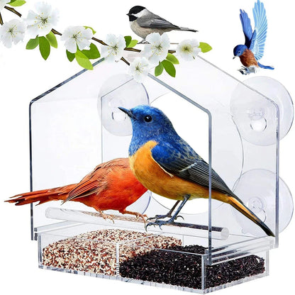 SkyFeed – Premium-Fenster-Vogelfutterstation für müheloses Vogelbeobachten