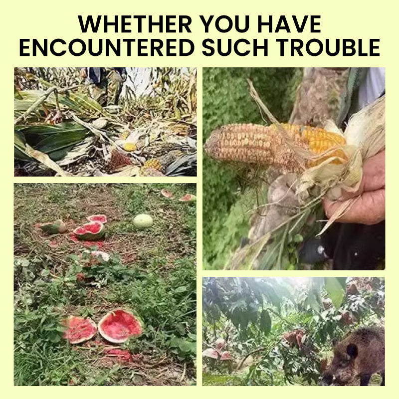 SolarDefender – Solarbetriebene Außenabwehr mit Licht und Ton