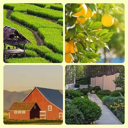 SolarDefender – Solarbetriebene Außenabwehr mit Licht und Ton