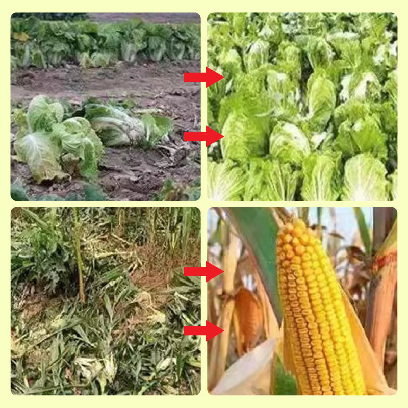 SolarDefender – Solarbetriebene Außenabwehr mit Licht und Ton